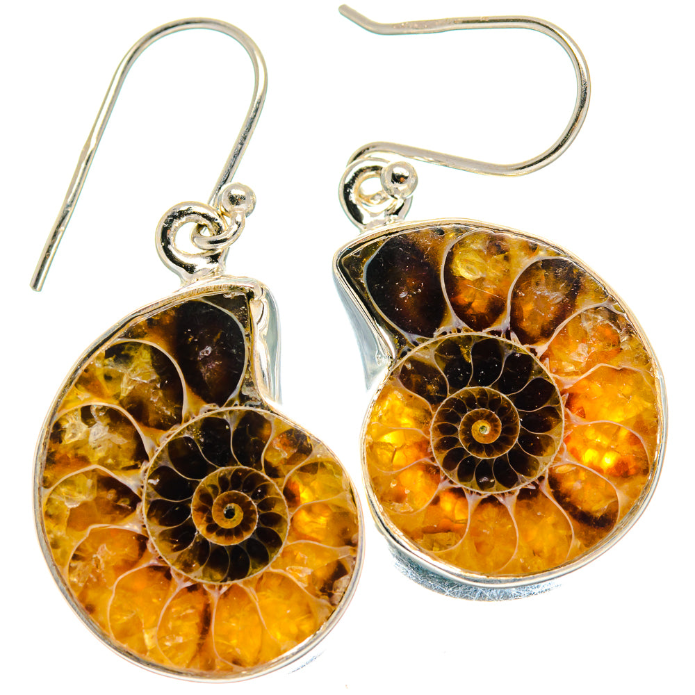Ammonite Fossil Earrings handcrafted by Anasilvercos - EARR424154