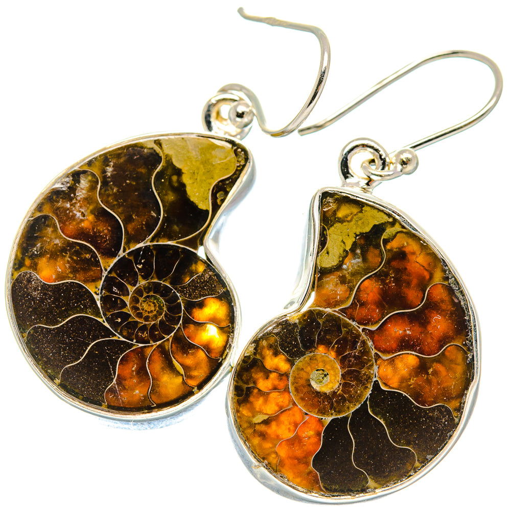 Ammonite Fossil Earrings handcrafted by Anasilvercos - EARR424192
