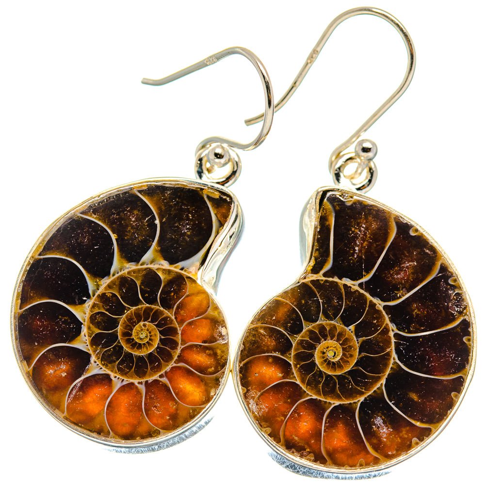 Ammonite Fossil Earrings handcrafted by Anasilvercos - EARR424226