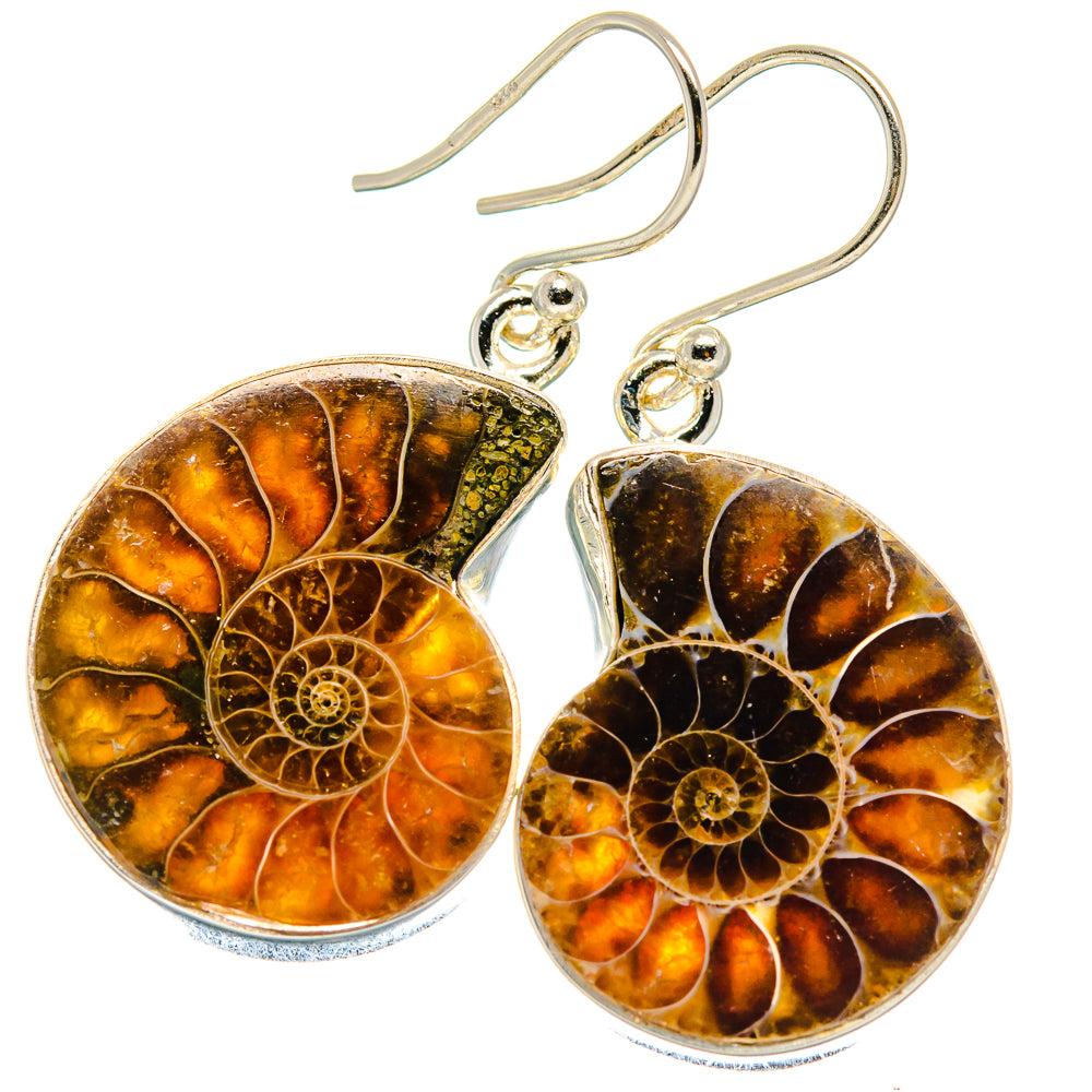 Ammonite Fossil Earrings handcrafted by Anasilvercos - EARR424239