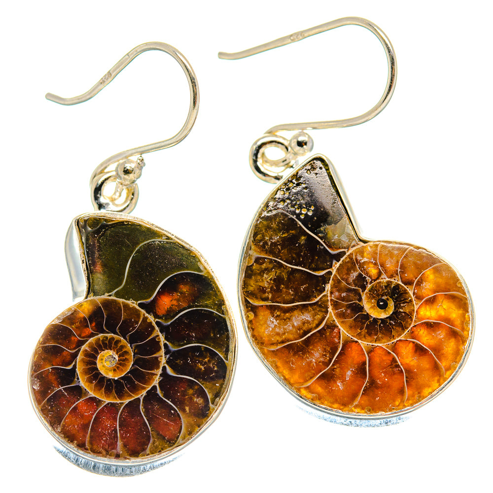 Ammonite Fossil Earrings handcrafted by Anasilvercos - EARR424255