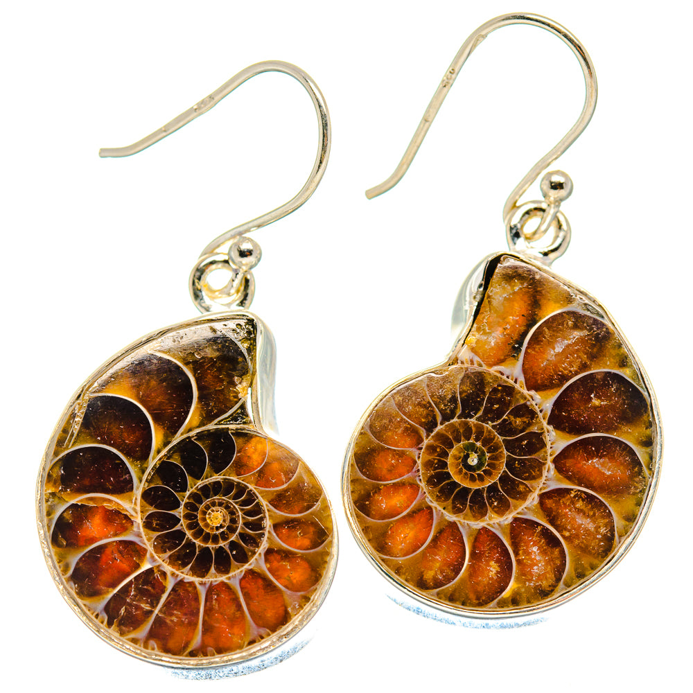 Ammonite Fossil Earrings handcrafted by Anasilvercos - EARR424290