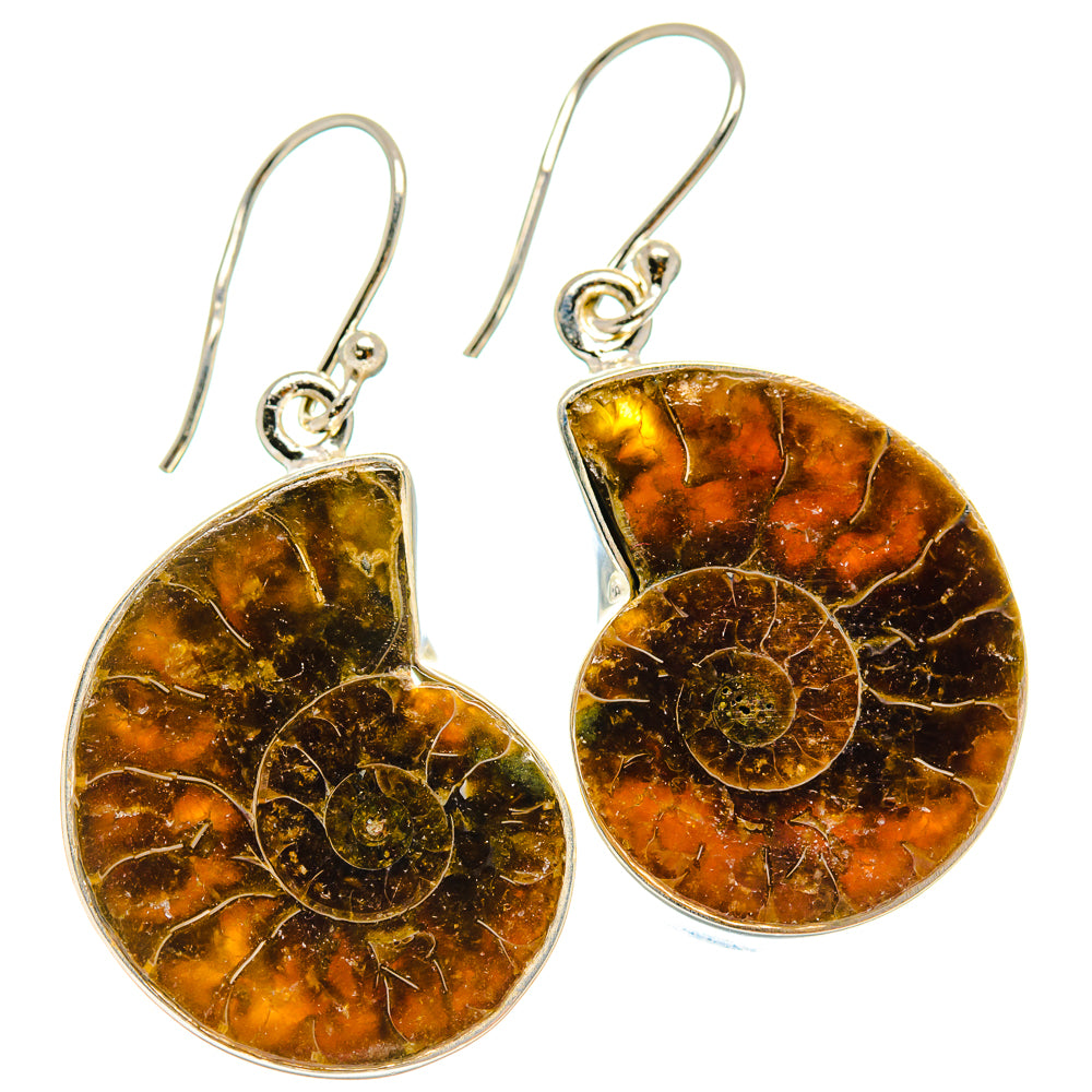 Ammonite Fossil Earrings handcrafted by Anasilvercos - EARR424328