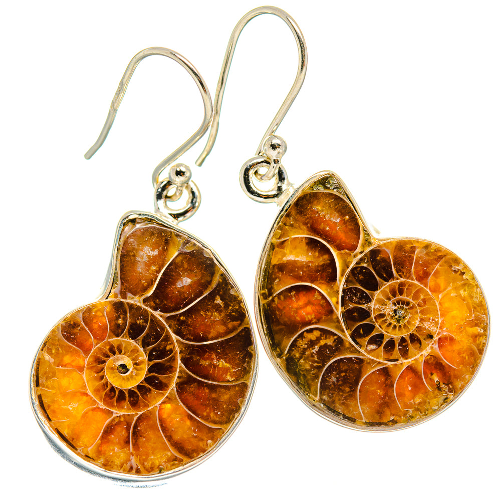 Ammonite Fossil Earrings handcrafted by Anasilvercos - EARR424351