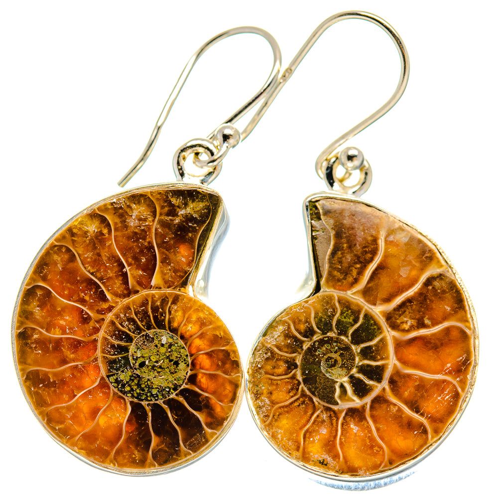 Ammonite Fossil Earrings handcrafted by Anasilvercos - EARR424365