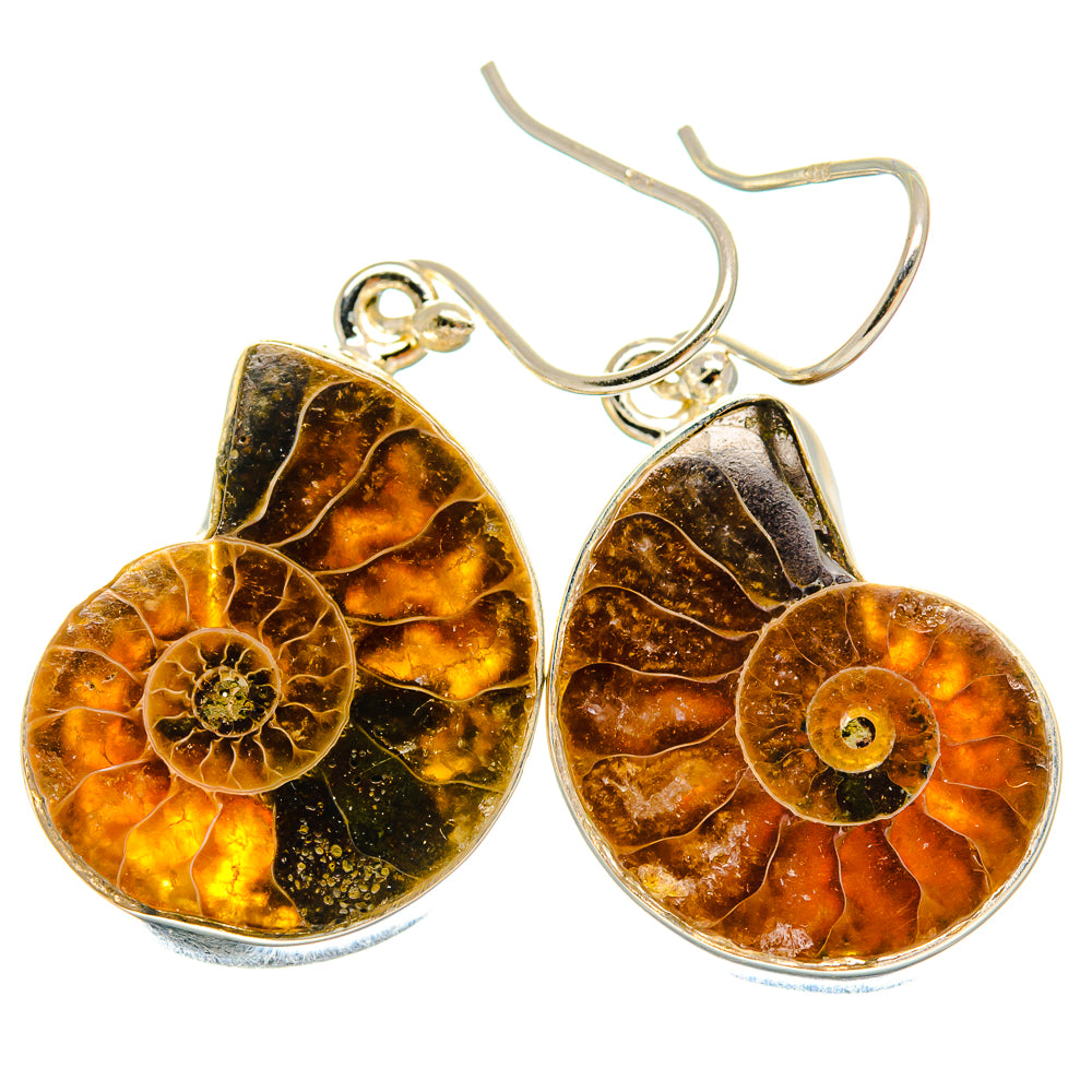 Ammonite Fossil Earrings handcrafted by Anasilvercos - EARR424381 - Photo 2