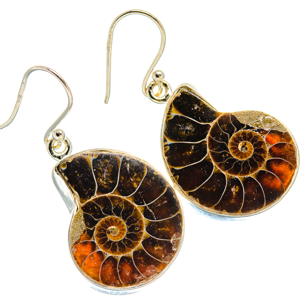 Ammonite Fossil Earrings handcrafted by Anasilvercos - EARR424422