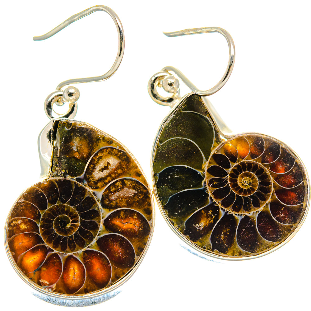 Ammonite Fossil Earrings handcrafted by Anasilvercos - EARR424442