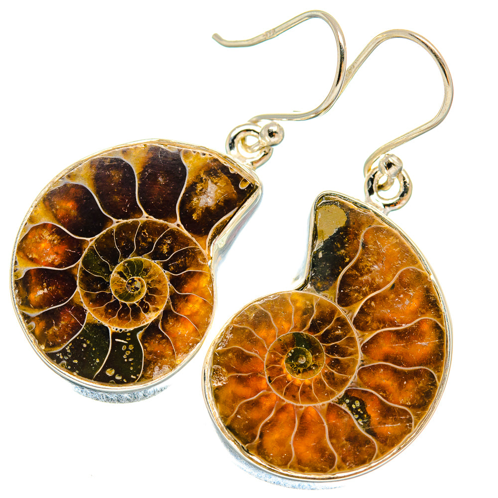 Ammonite Fossil Earrings handcrafted by Anasilvercos - EARR424449