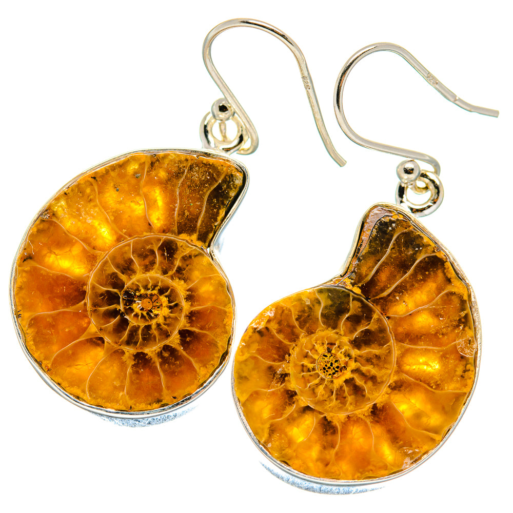 Ammonite Fossil Earrings handcrafted by Anasilvercos - EARR424473 - Photo 2
