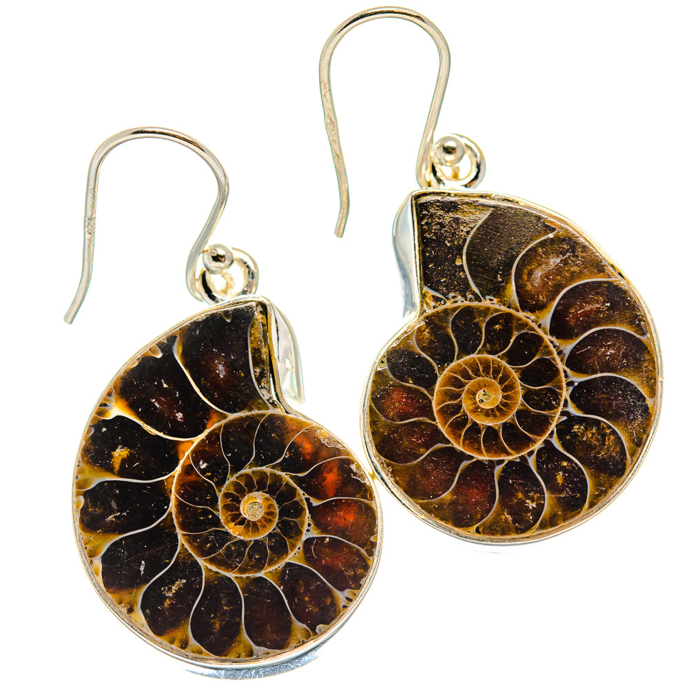 Ammonite Fossil Earrings handcrafted by Anasilvercos - EARR424479