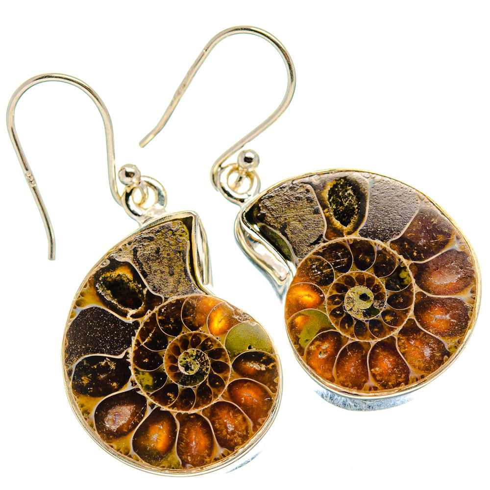 Ammonite Fossil Earrings handcrafted by Anasilvercos - EARR424484 - Photo 2