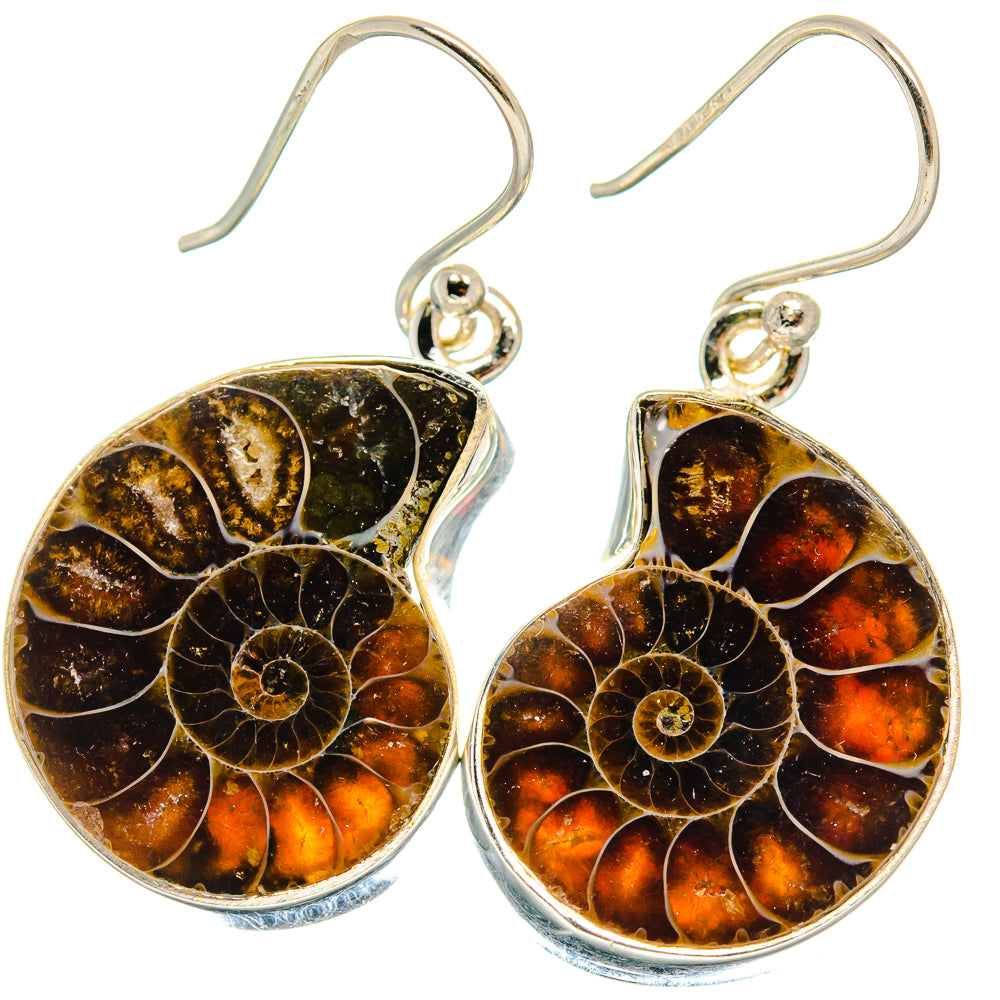 Ammonite Fossil Earrings handcrafted by Anasilvercos - EARR424498