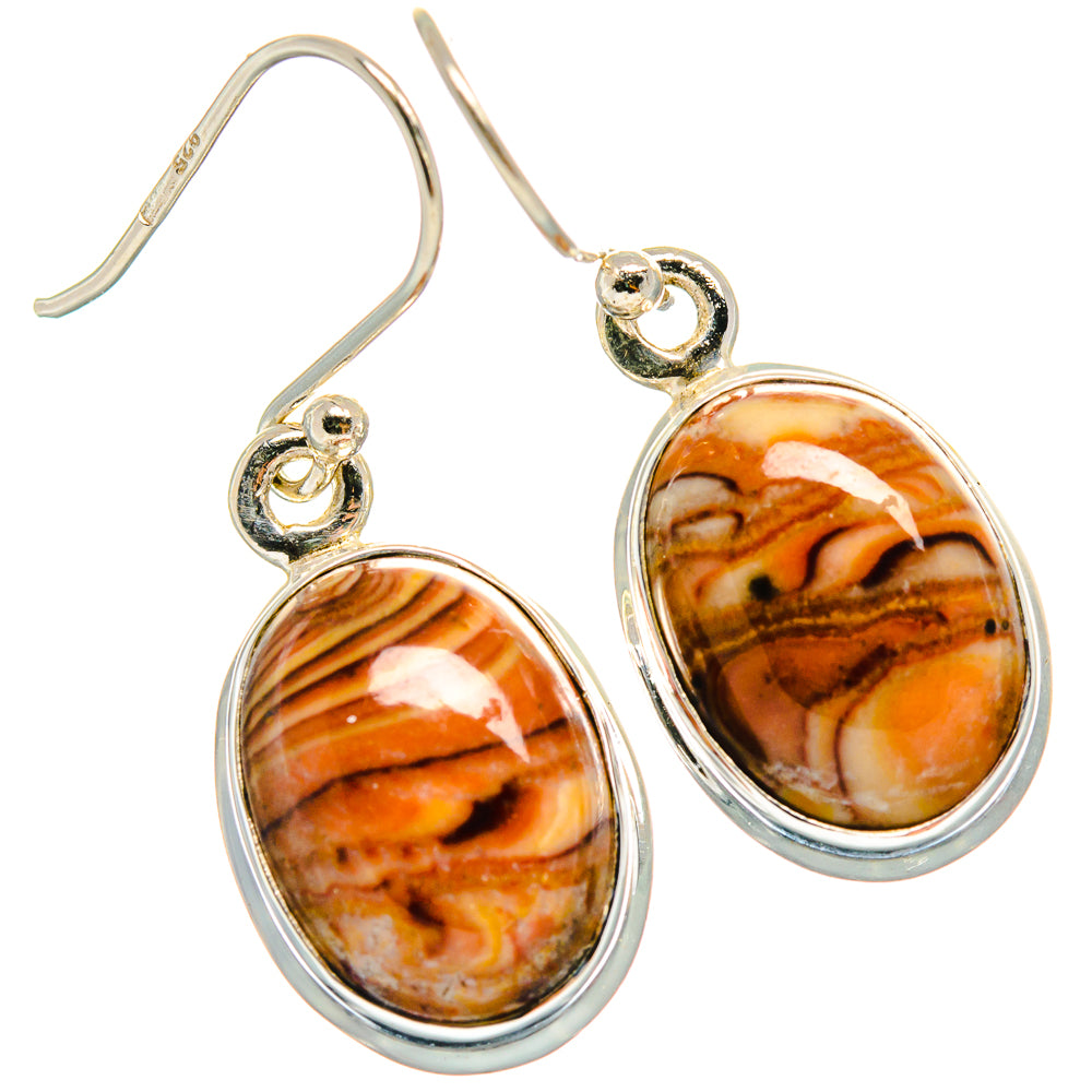 Wild Horse Jasper Earrings handcrafted by Anasilvercos - EARR424510
