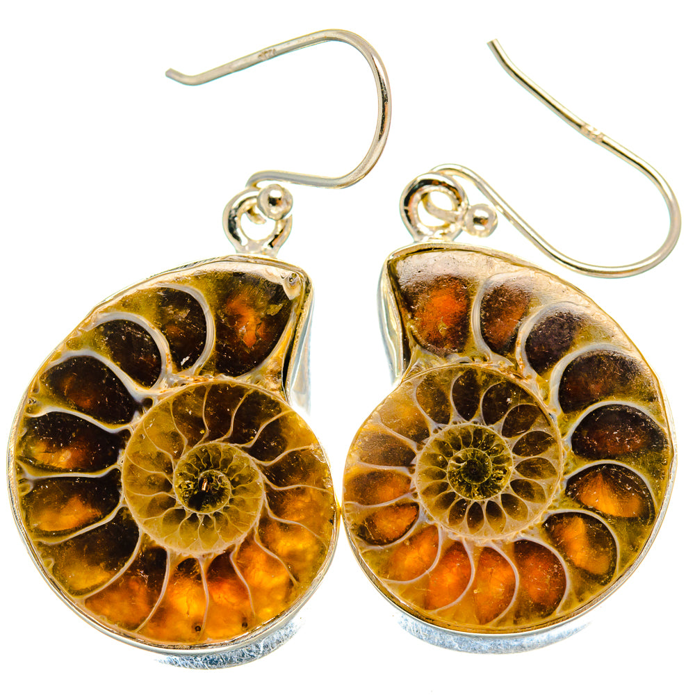 Ammonite Fossil Earrings handcrafted by Anasilvercos - EARR424535