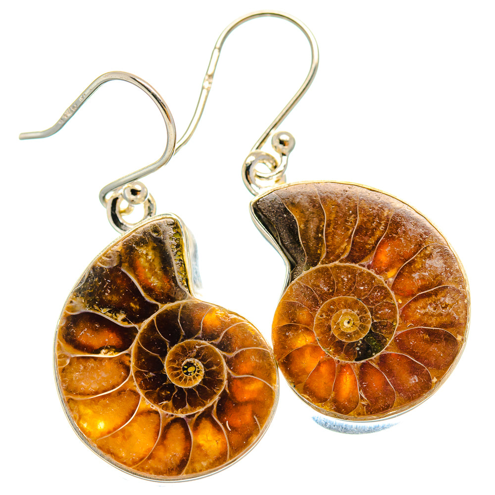 Ammonite Fossil Earrings handcrafted by Anasilvercos - EARR424544 - Photo 2