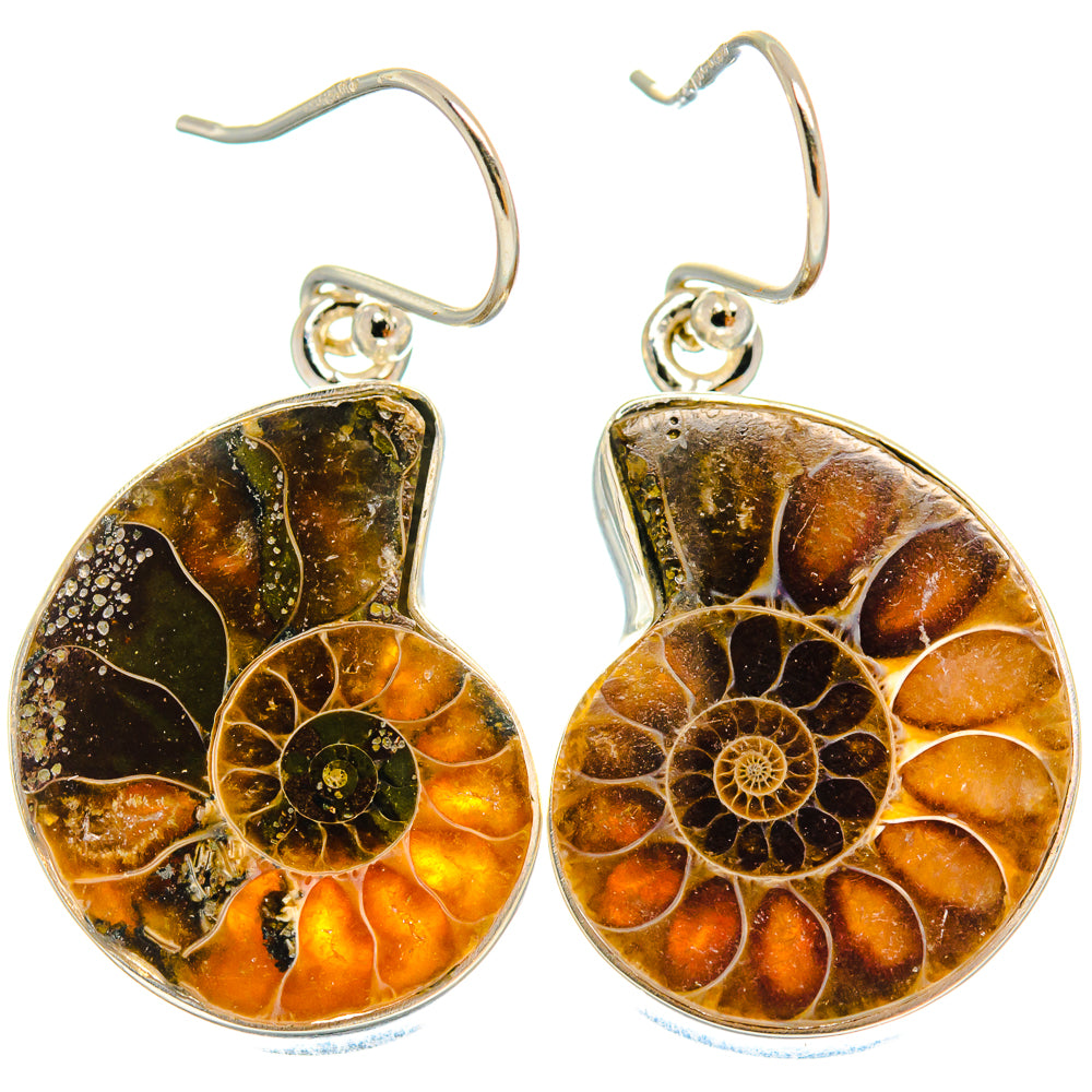 Ammonite Fossil Earrings handcrafted by Anasilvercos - EARR424551 - Photo 2