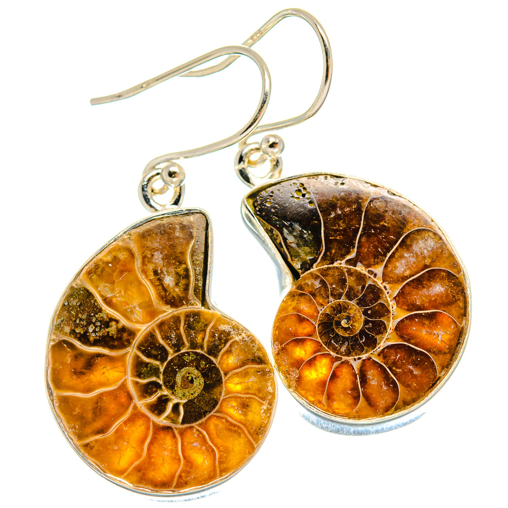 Ammonite Fossil Earrings handcrafted by Anasilvercos - EARR424568 - Photo 2
