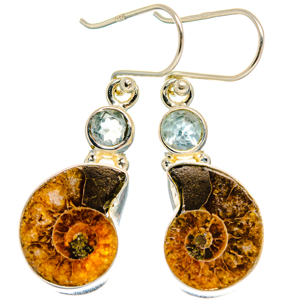 Ammonite Fossil Earrings handcrafted by Anasilvercos - EARR424661 - Photo 2