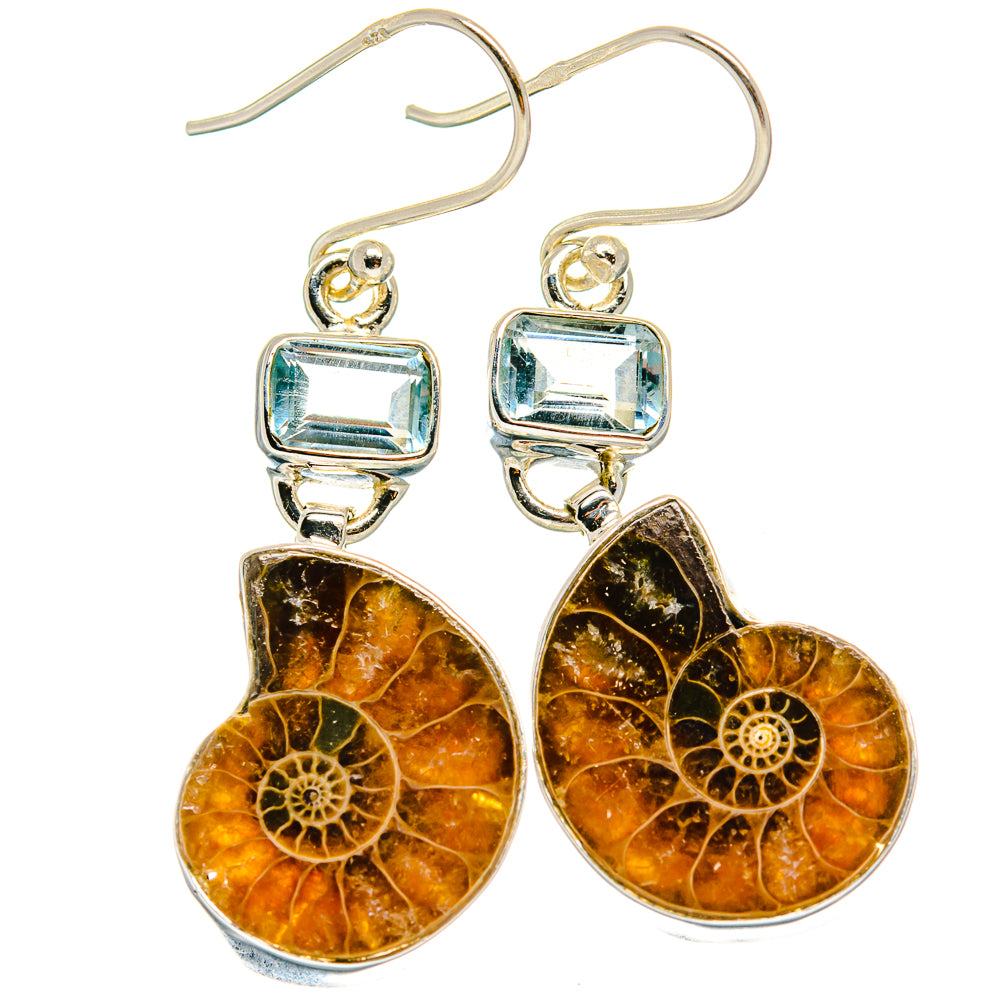 Ammonite Fossil Earrings handcrafted by Anasilvercos - EARR424733 - Photo 2