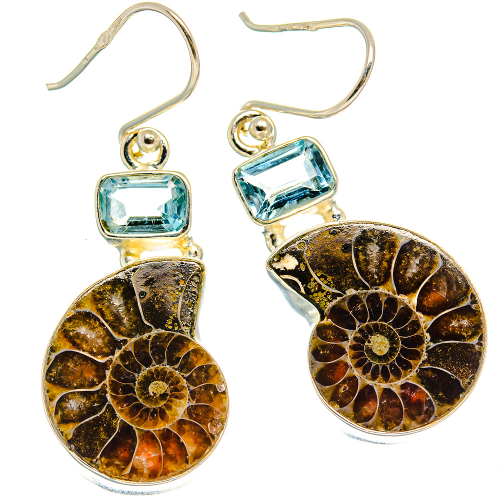 Ammonite Fossil Earrings handcrafted by Anasilvercos - EARR424769