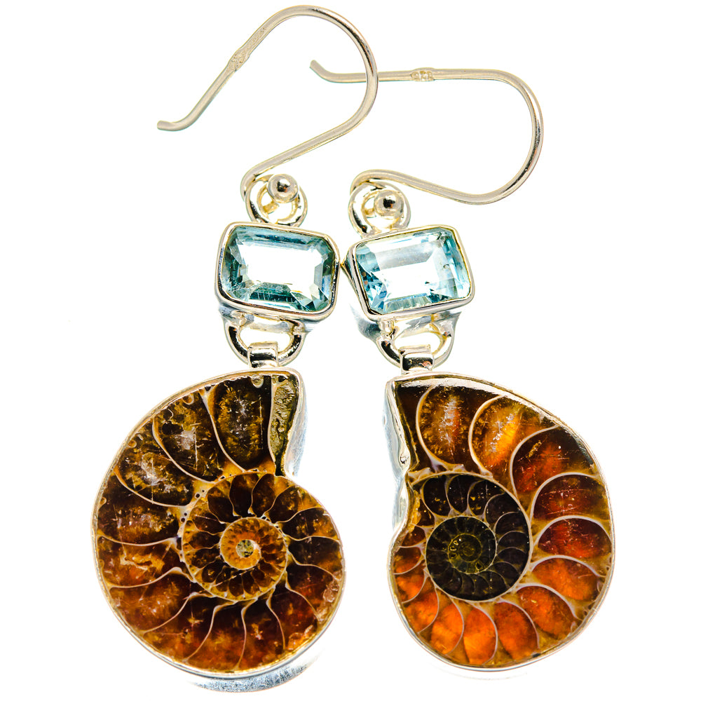 Ammonite Fossil Earrings handcrafted by Anasilvercos - EARR424796 - Photo 2