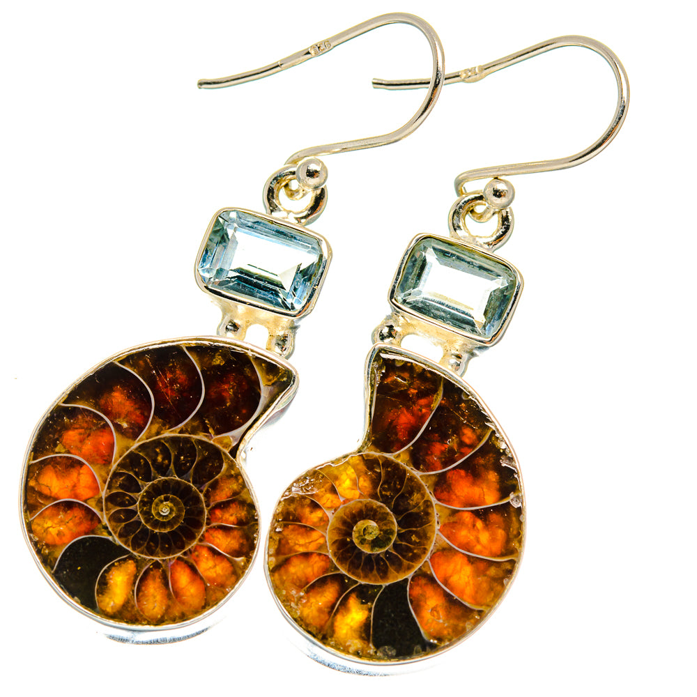 Ammonite Fossil Earrings handcrafted by Anasilvercos - EARR424864