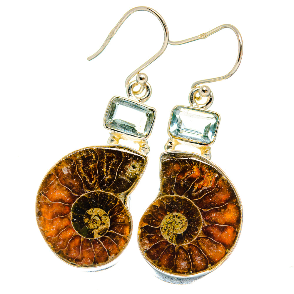 Ammonite Fossil Earrings handcrafted by Anasilvercos - EARR424906 - Photo 2