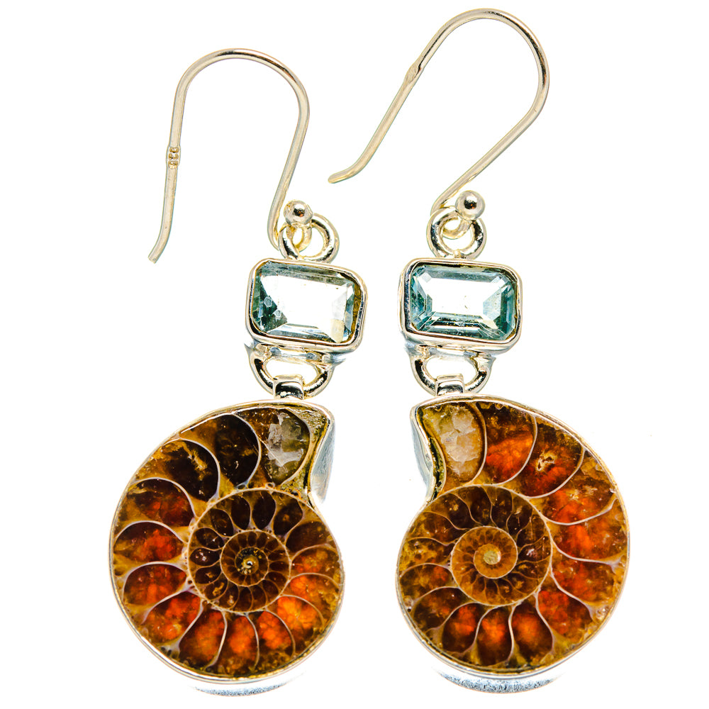 Ammonite Fossil Earrings handcrafted by Anasilvercos - EARR424950 - Photo 2