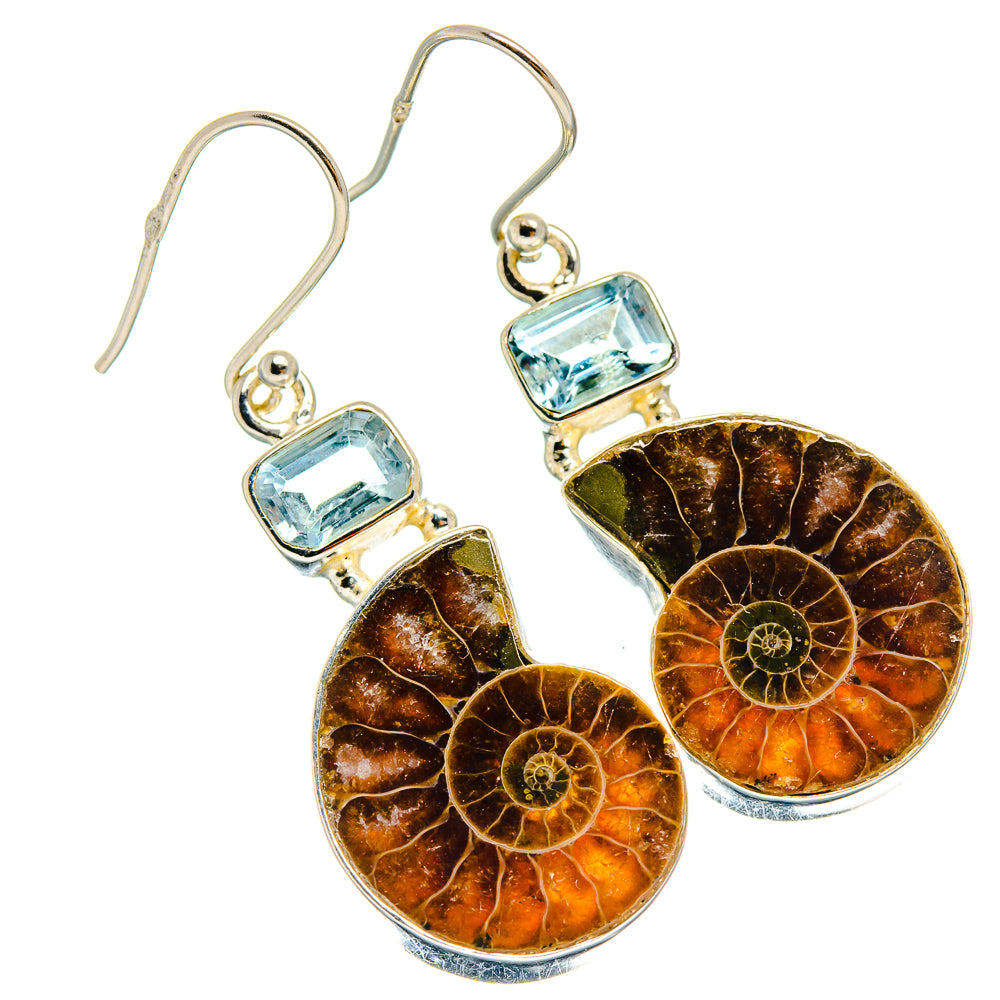 Ammonite Fossil Earrings handcrafted by Anasilvercos - EARR424975 - Photo 2
