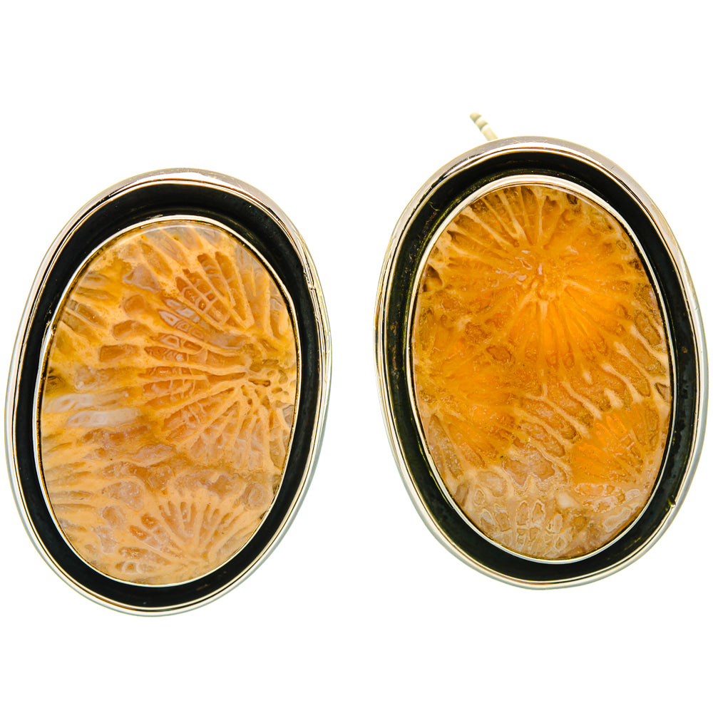 Fossil Coral Earrings handcrafted by Anasilvercos - EARR428692 - Photo 2