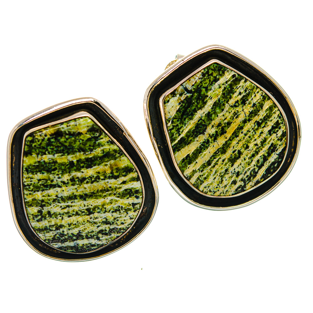 Green Vein Jasper Earrings handcrafted by Anasilvercos - EARR429311 - Photo 2