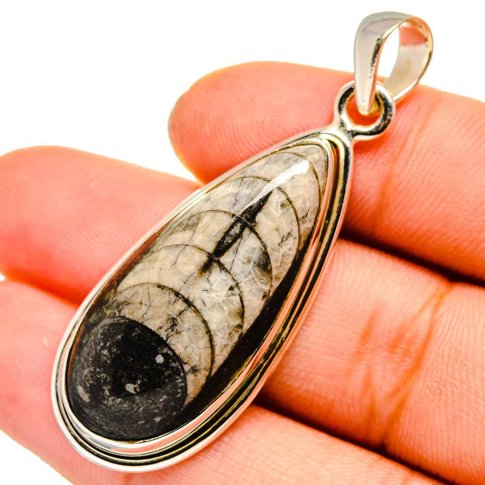 Orthoceras Fossil Pendants handcrafted by Anasilvercos - PD10043