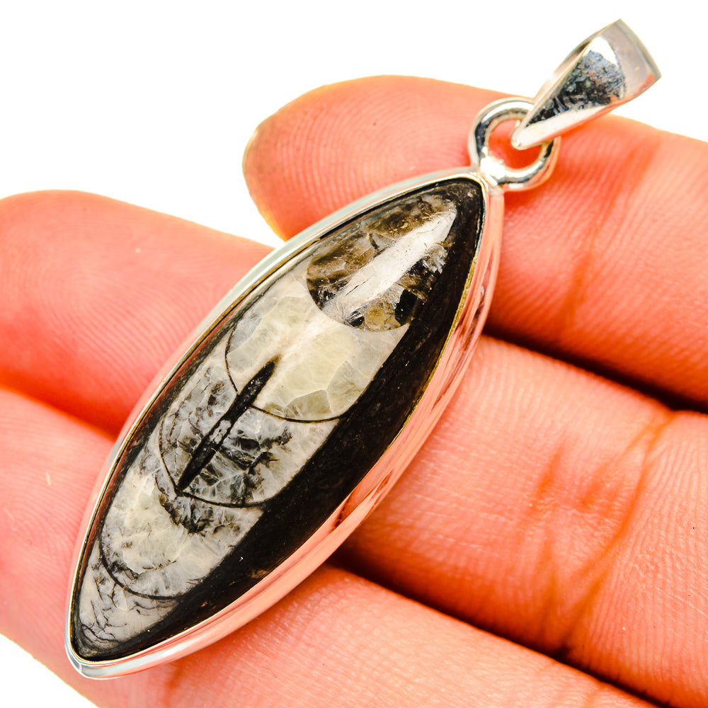 Orthoceras Fossil Pendants handcrafted by Anasilvercos - PD10044