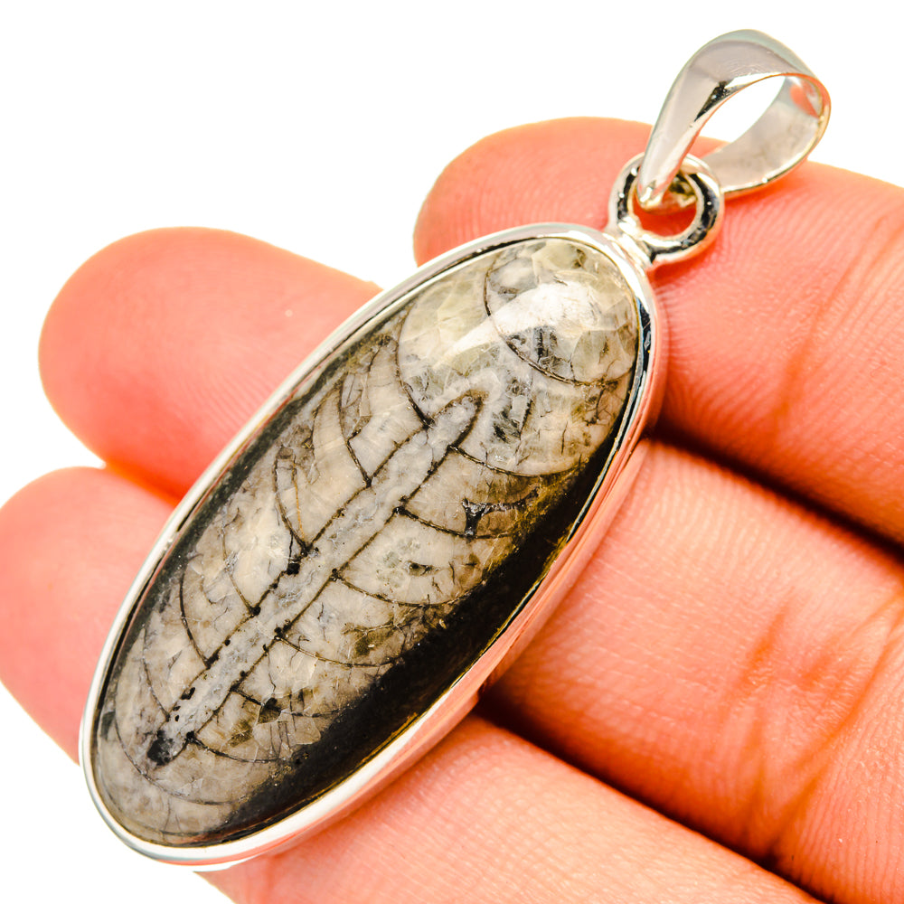 Orthoceras Fossil Pendants handcrafted by Anasilvercos - PD10045