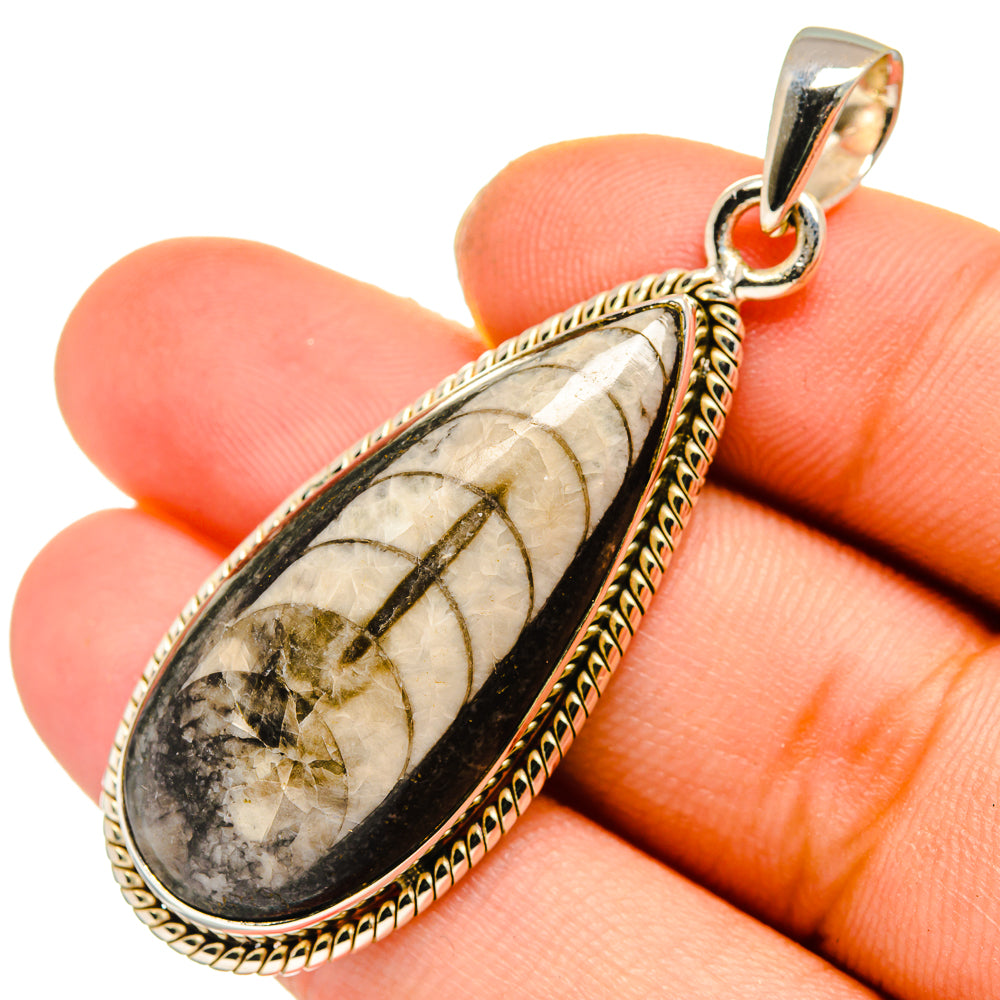 Orthoceras Fossil Pendants handcrafted by Anasilvercos - PD10046