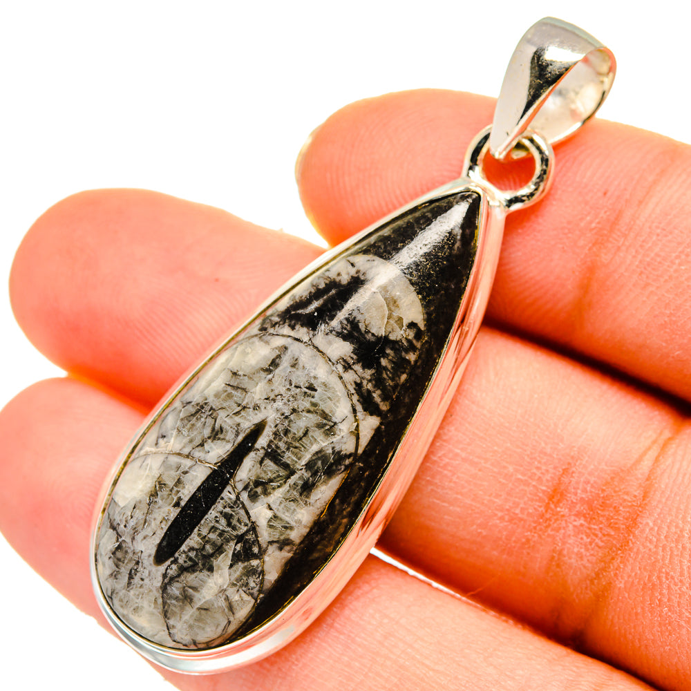 Orthoceras Fossil Pendants handcrafted by Anasilvercos - PD10225