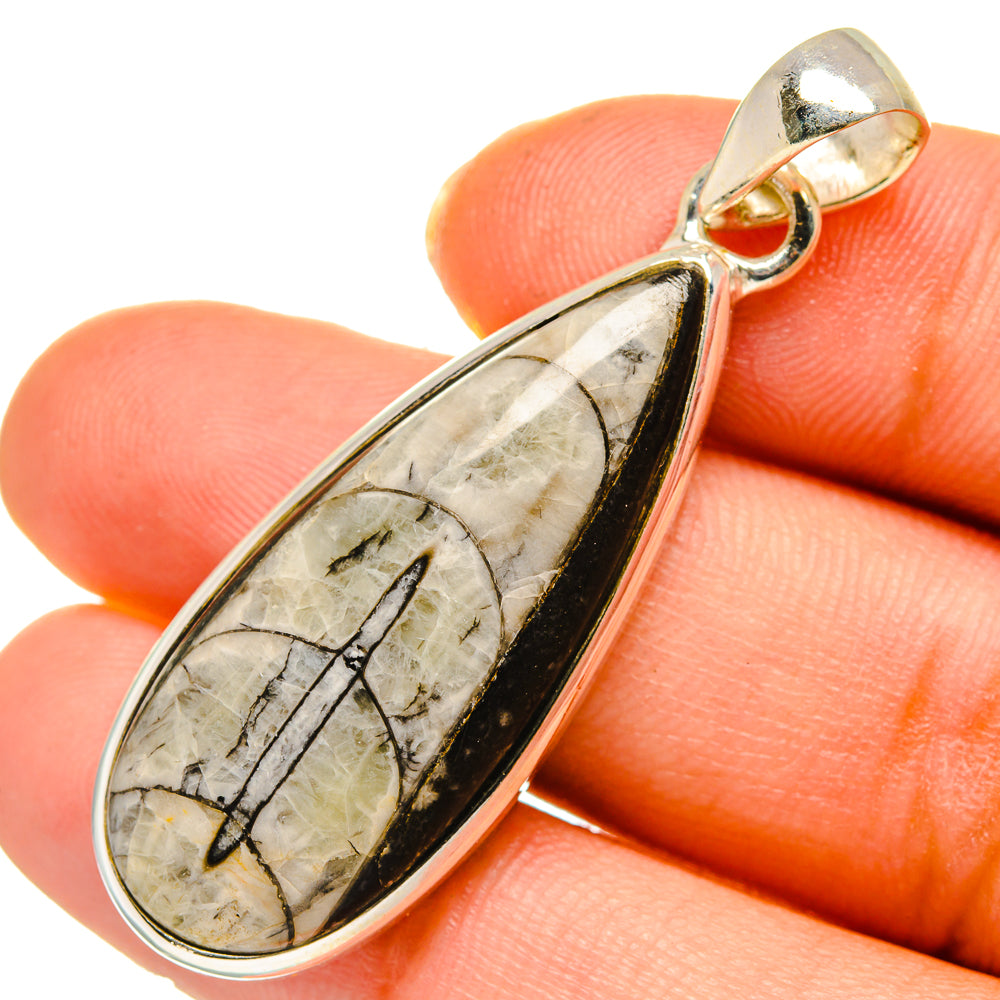 Orthoceras Fossil Pendants handcrafted by Anasilvercos - PD10295