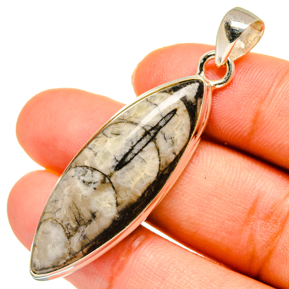 Orthoceras Fossil Pendants handcrafted by Anasilvercos - PD10301