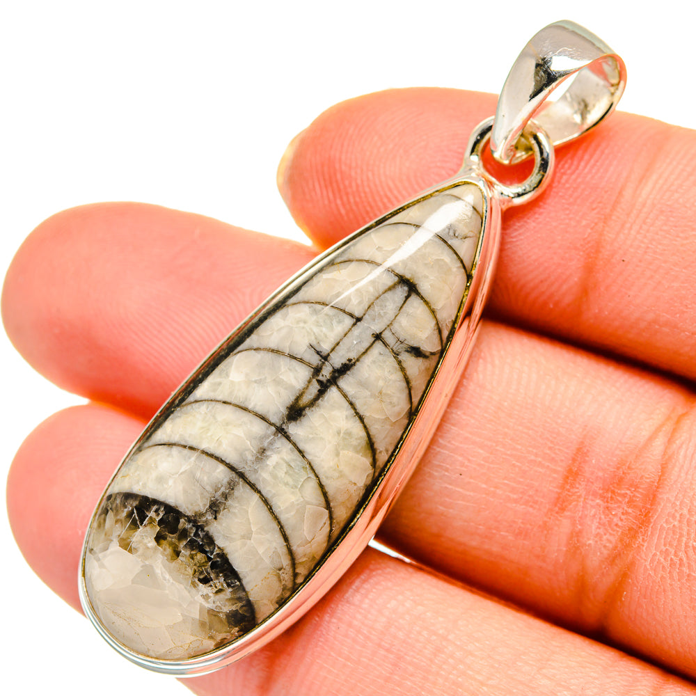 Orthoceras Fossil Pendants handcrafted by Anasilvercos - PD10338