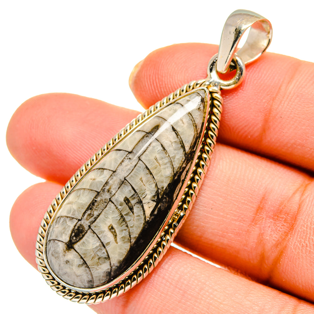 Orthoceras Fossil Pendants handcrafted by Anasilvercos - PD10339