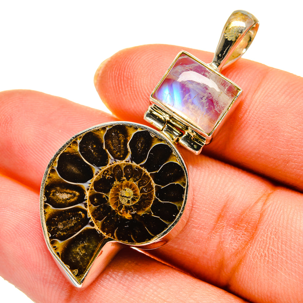 Ammonite Fossil Pendants handcrafted by Anasilvercos - PD10357
