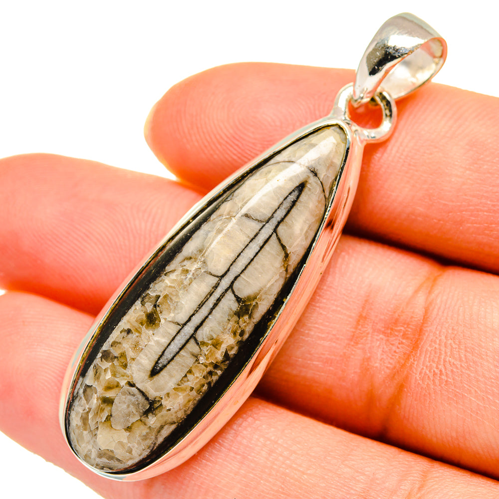 Orthoceras Fossil Pendants handcrafted by Anasilvercos - PD10405