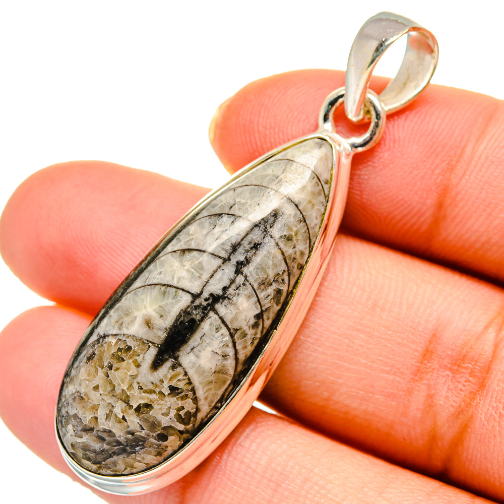 Orthoceras Fossil Pendants handcrafted by Anasilvercos - PD10436
