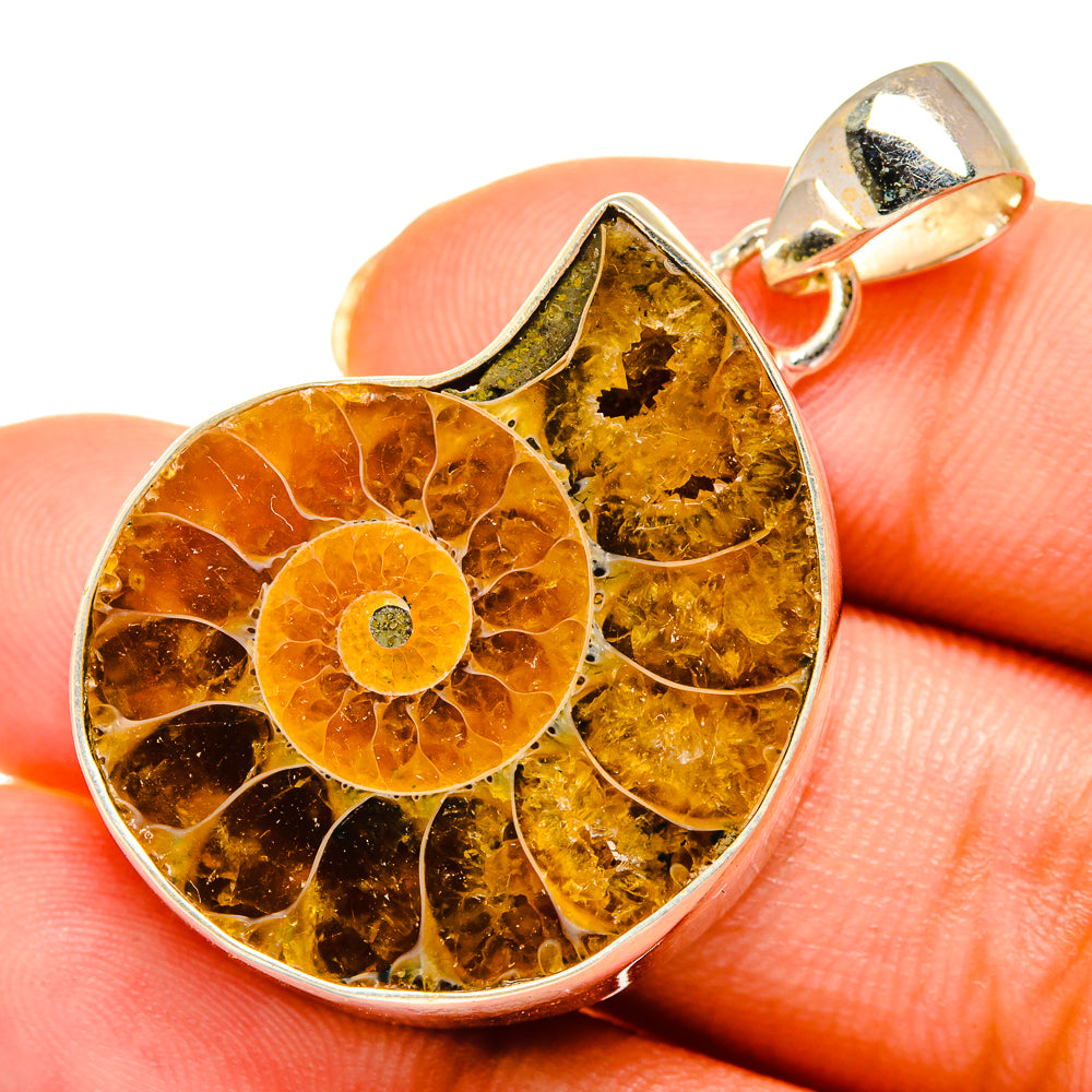 Ammonite Fossil Pendants handcrafted by Anasilvercos - PD10709