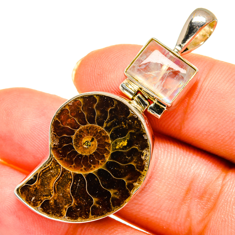 Ammonite Fossil Pendants handcrafted by Anasilvercos - PD10712