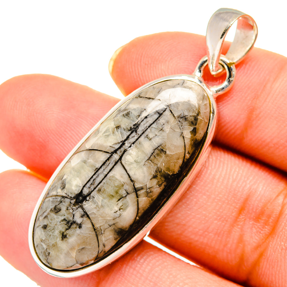 Orthoceras Fossil Pendants handcrafted by Anasilvercos - PD10715