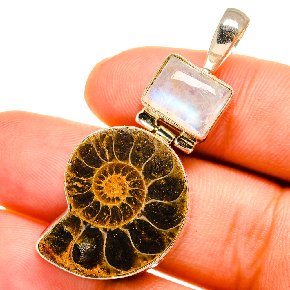 Ammonite Fossil Pendants handcrafted by Anasilvercos - PD10751