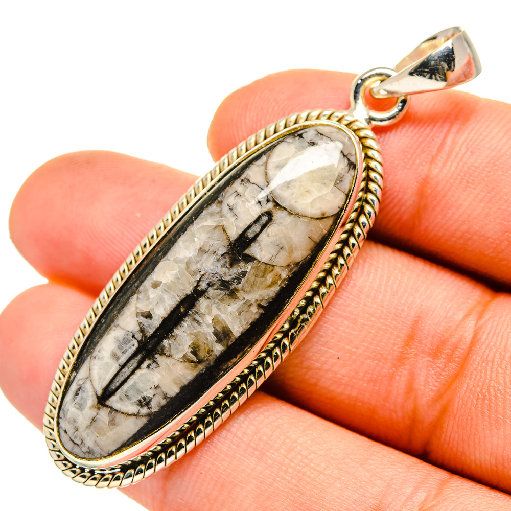 Orthoceras Fossil Pendants handcrafted by Anasilvercos - PD10803