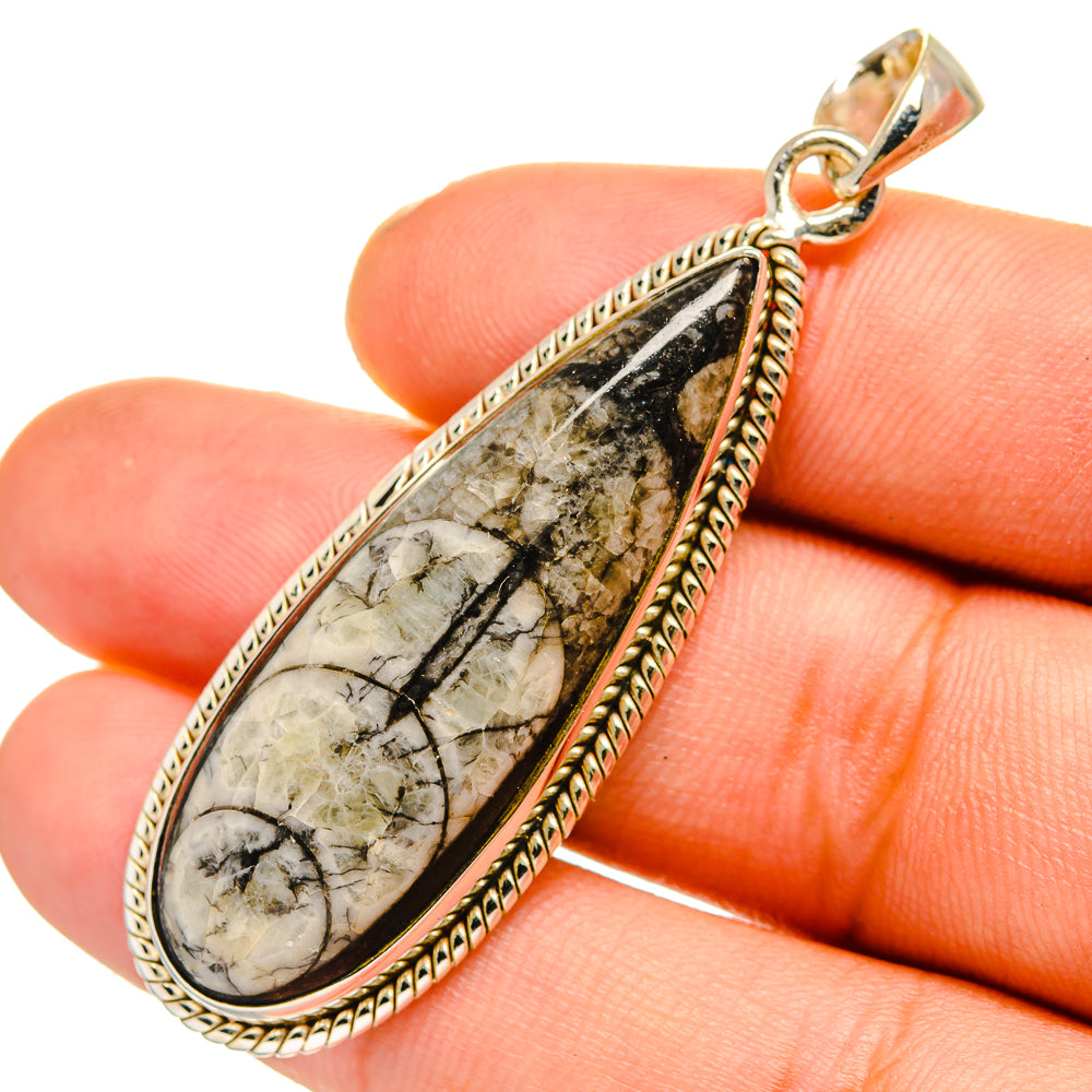 Orthoceras Fossil Pendants handcrafted by Anasilvercos - PD10810